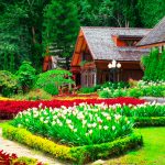 The Garden: A Timeless Connection Between Nature and Human Creativity