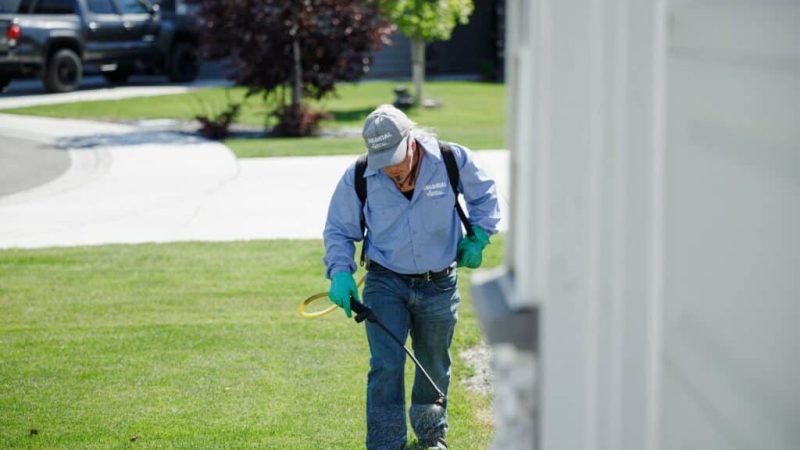 Comprehensive Stoke Pest Control Services for Every Infestation
